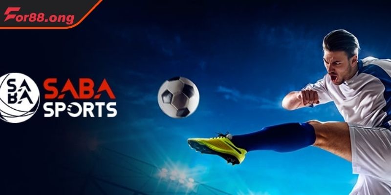 Nhiều hình thức cá cược