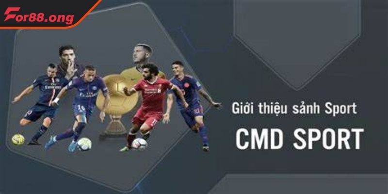 Những điểm hấp dẫn